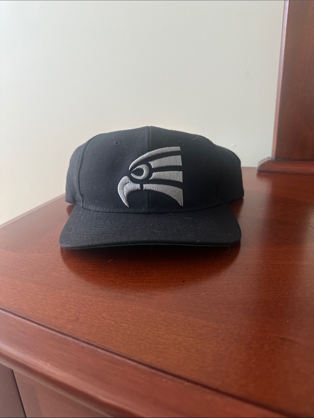 Nike SB SnapBack